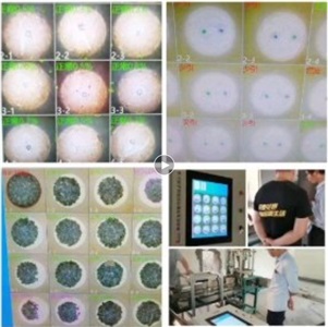 机器视觉自动星空官方网页版_星空（中国）
烟花质量   声光停机三重报警安全隐患
